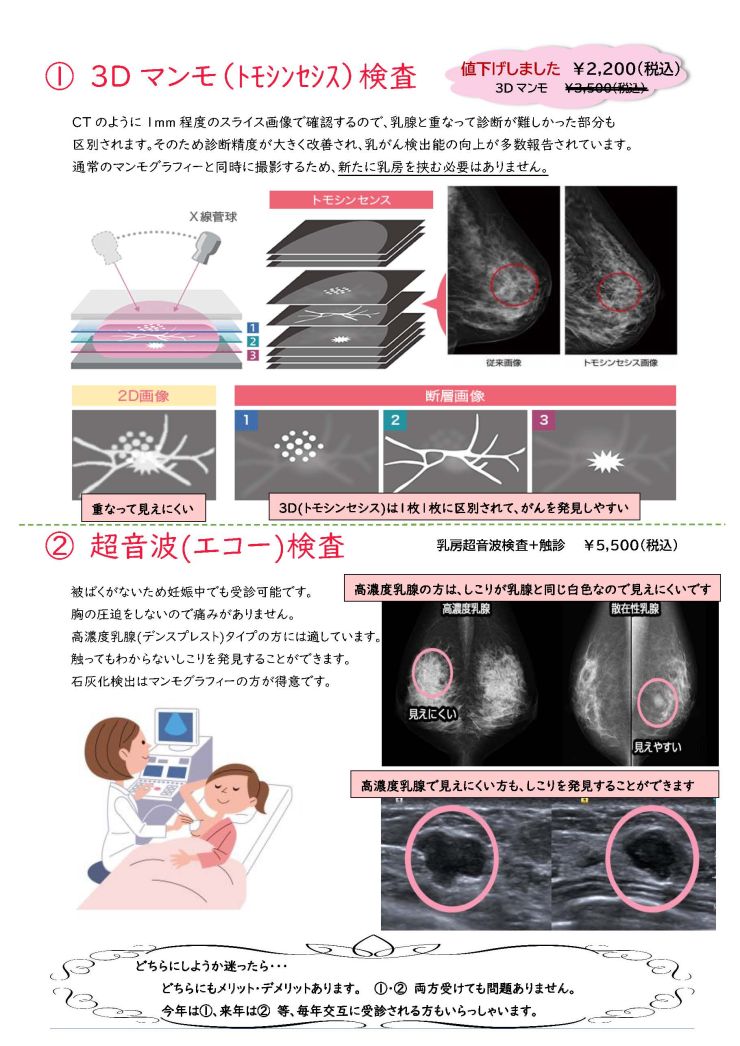 option_pamphlet_r6.jpg